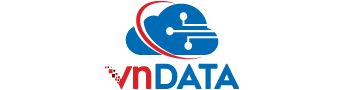 Logo VNDATA